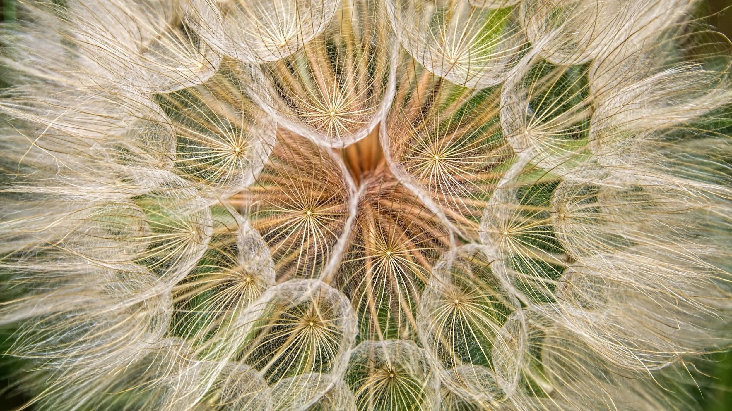 unsplash-image-nyFkK4NeaaM.jpg