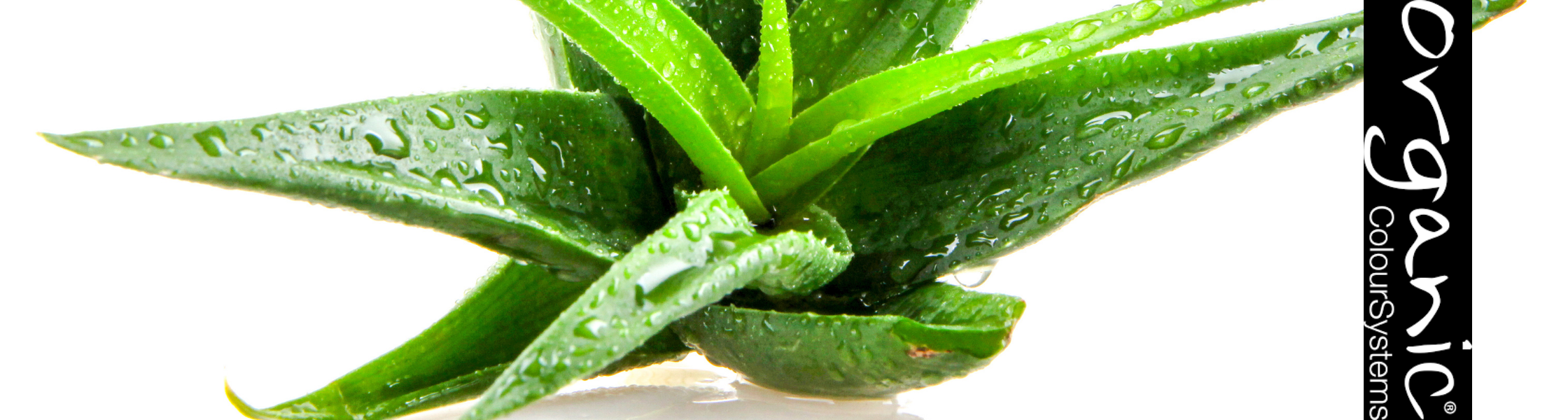 organic colour systems aqua boost