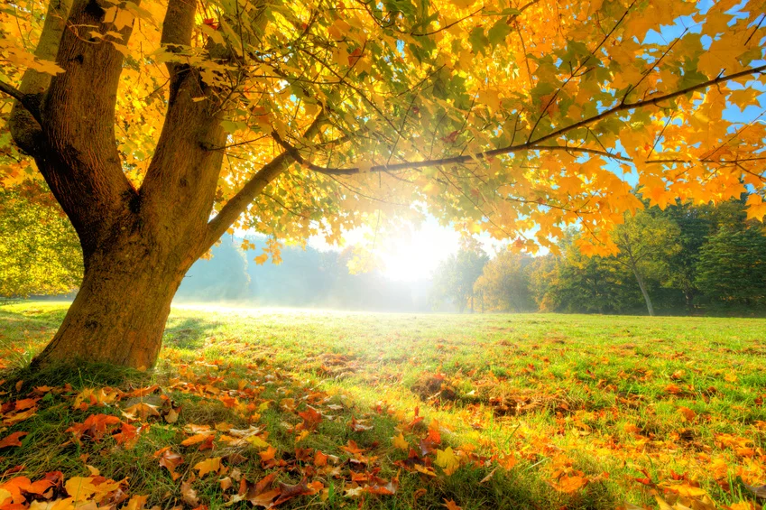 autumn-equinox.jpg