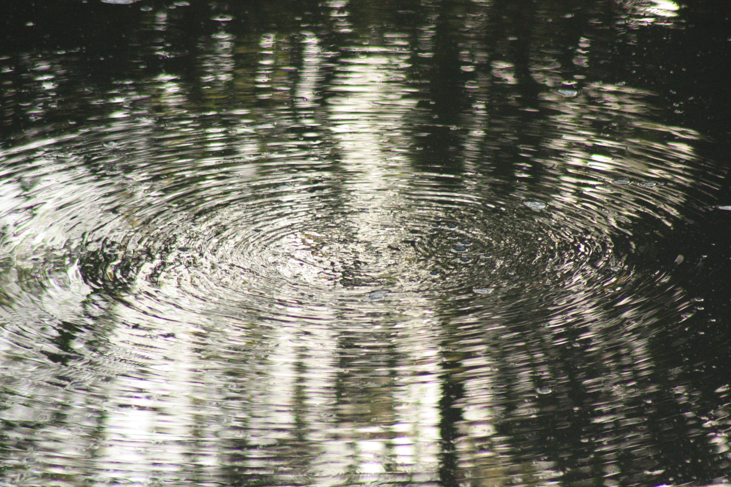 Water Ripples.JPG