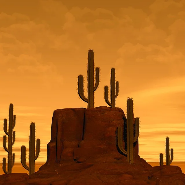 desert-2751810_640.jpg