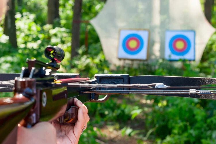 10 Reasons You Should Gift A Crossbow For Christmas