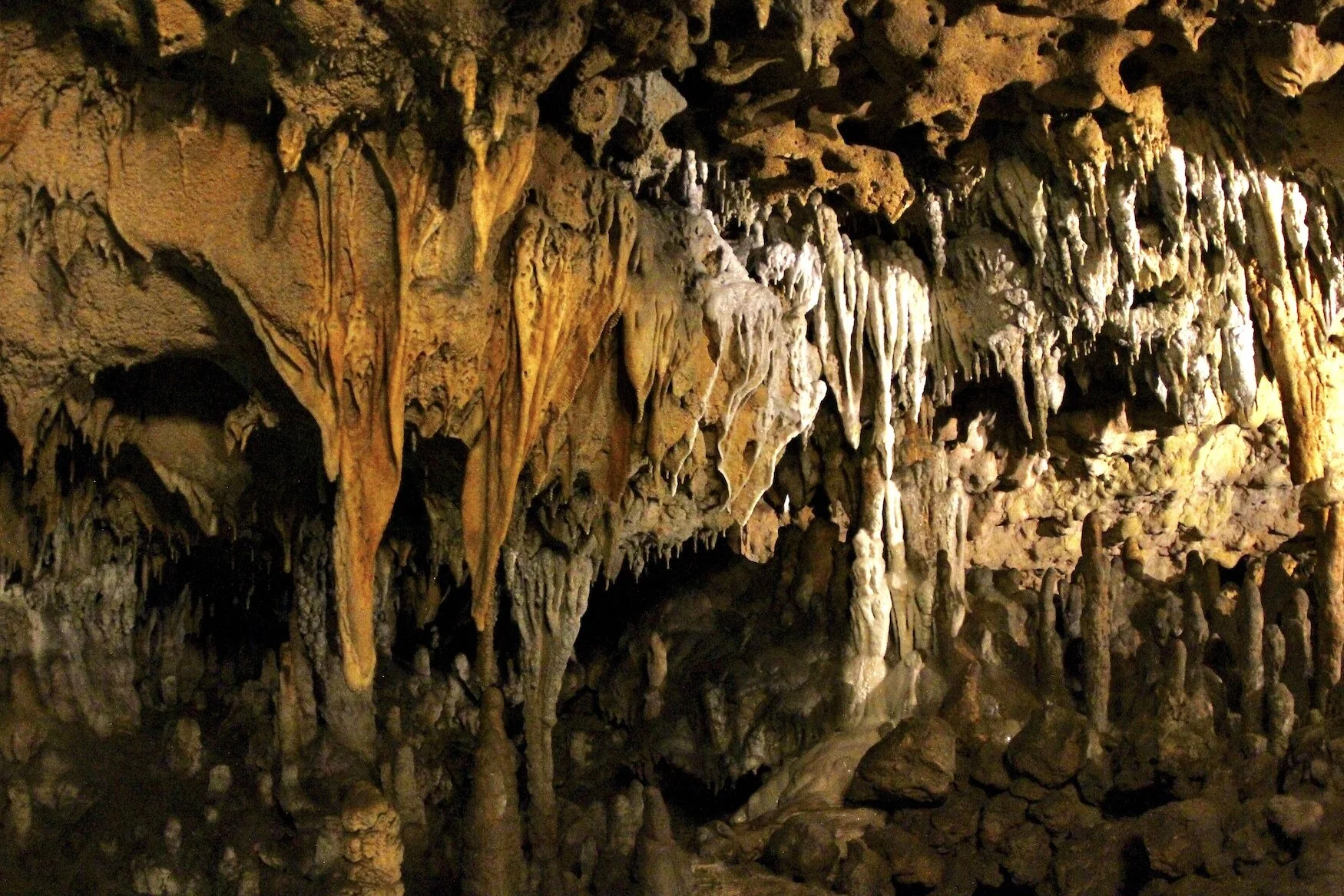 Traveling America By Van: Three Florida State Parks to Visit