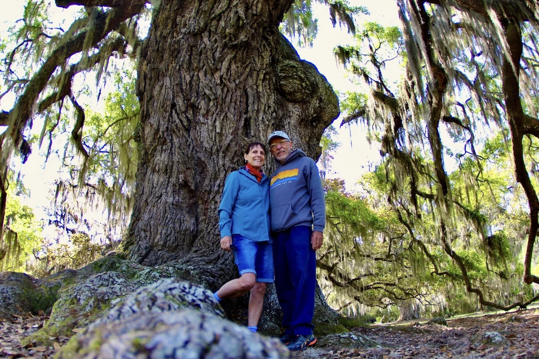 Traveling America By Van: Off To Cajun Country