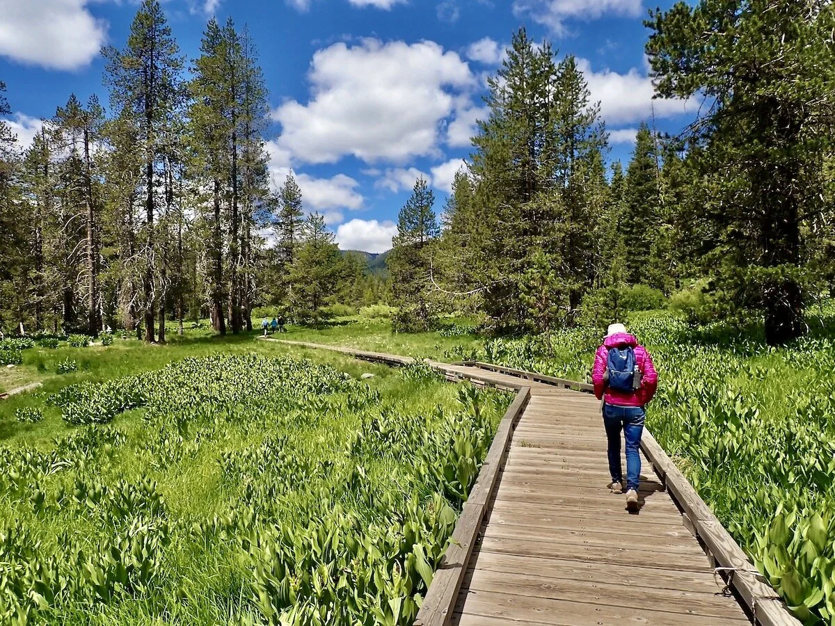 Traveling America By Van: Lassen Volcanic National Park