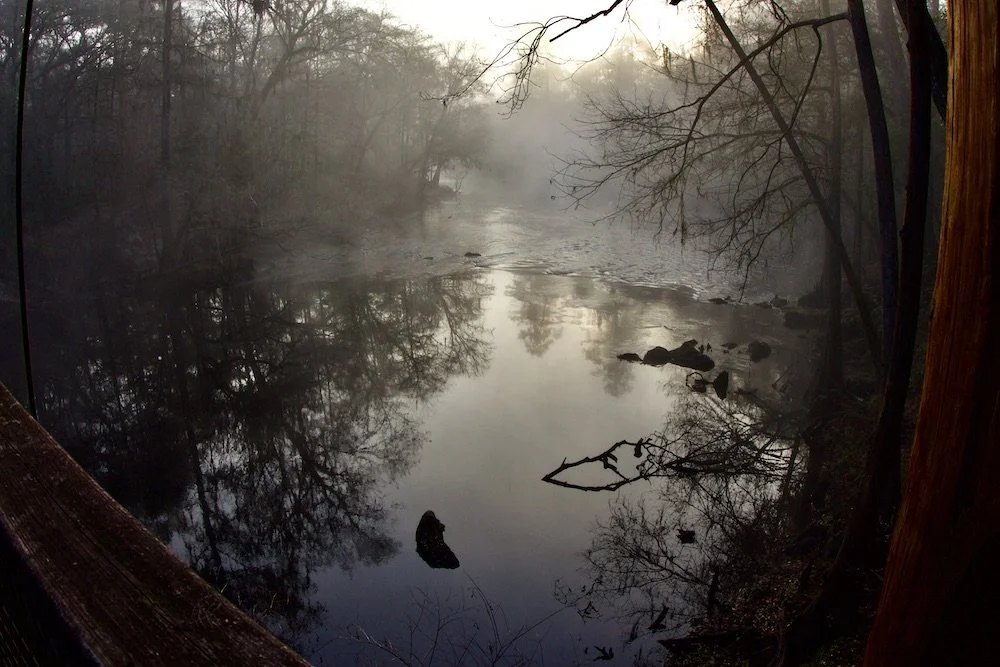 Paddling, Fishing, And Camping On The Santa Fe River