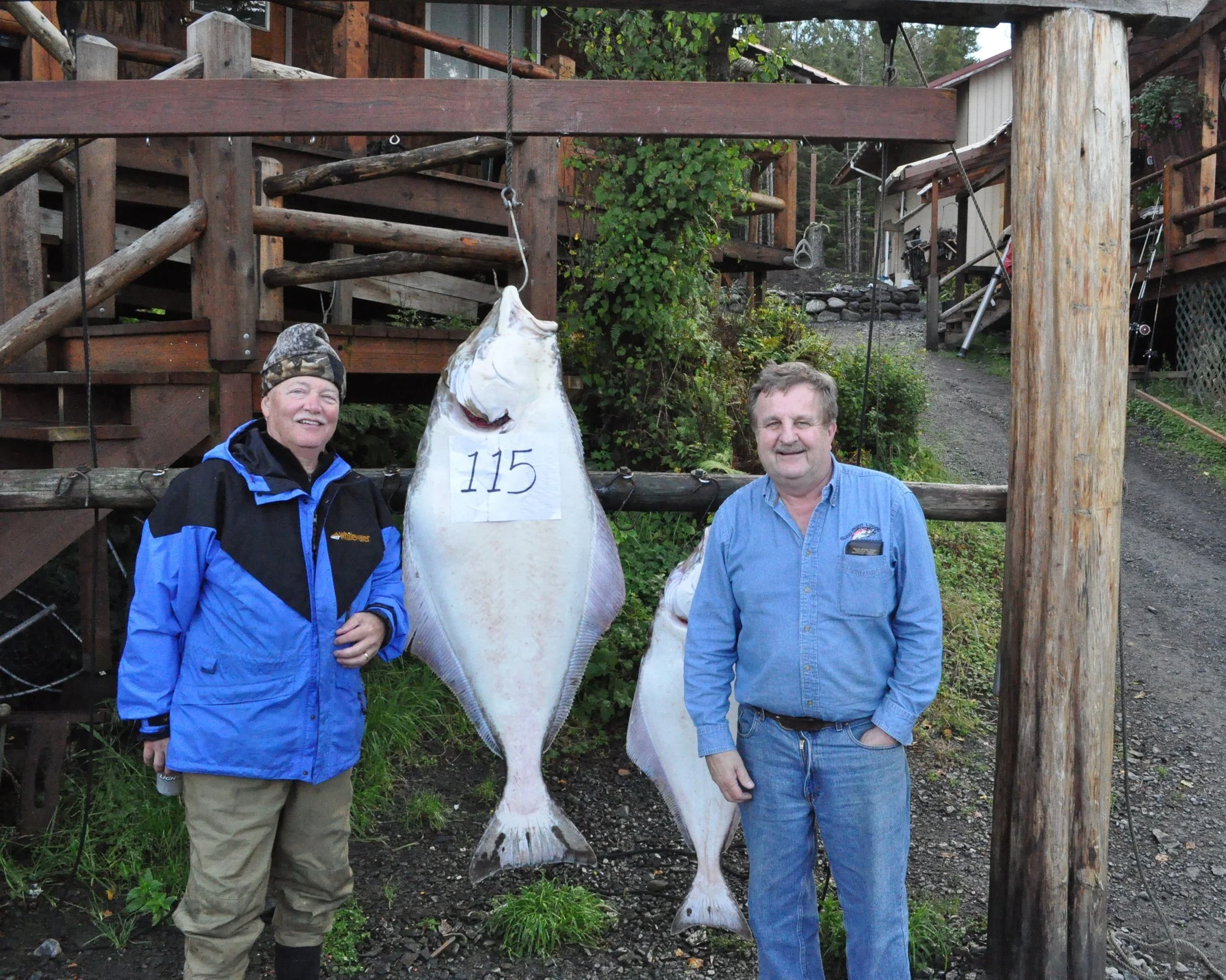 Island Point Lodge: Alaska's Fish On Your Own Lodge