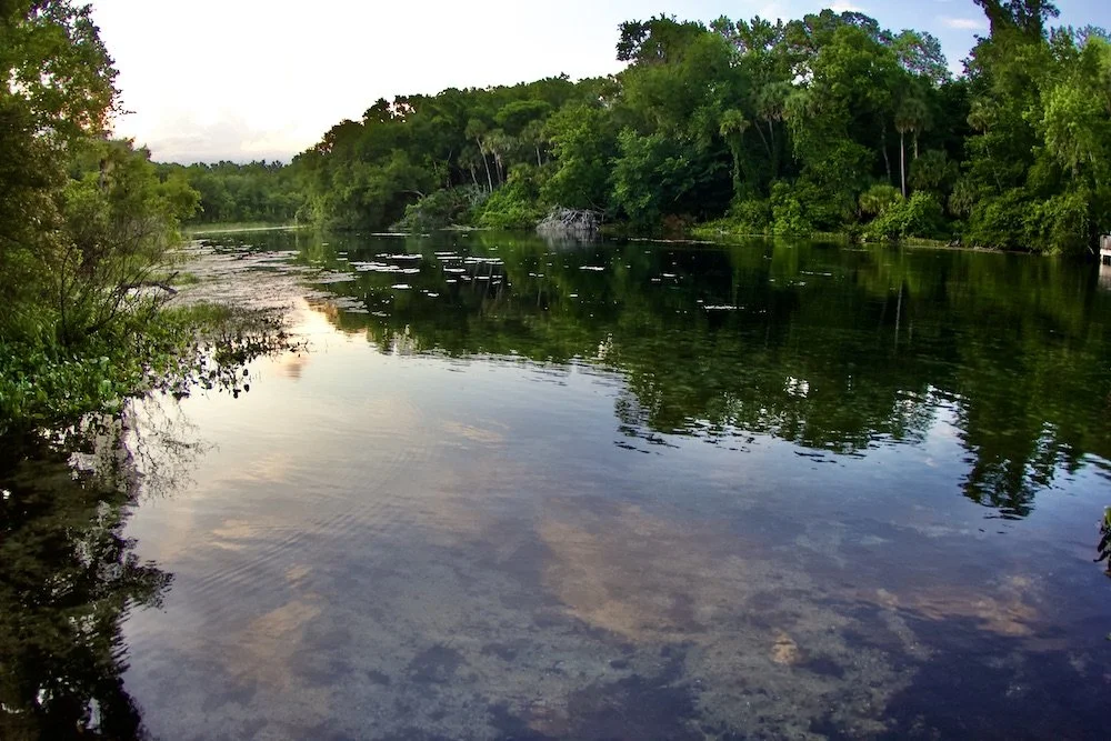 A Visit To The Alexander Springs Run