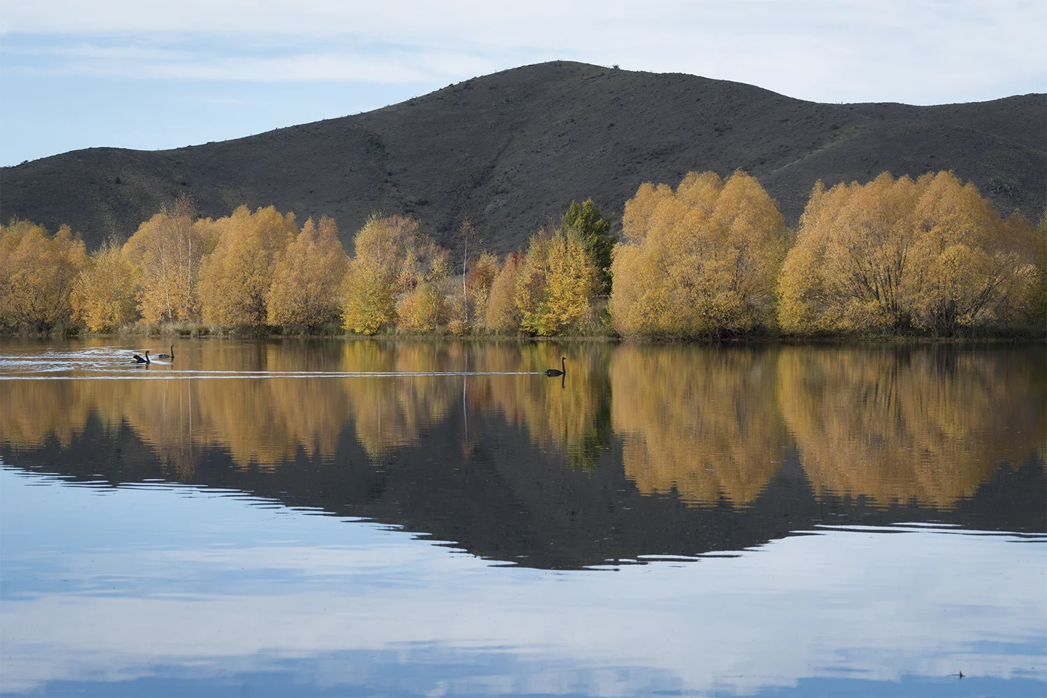 NEW Eely Point 6. jpeg