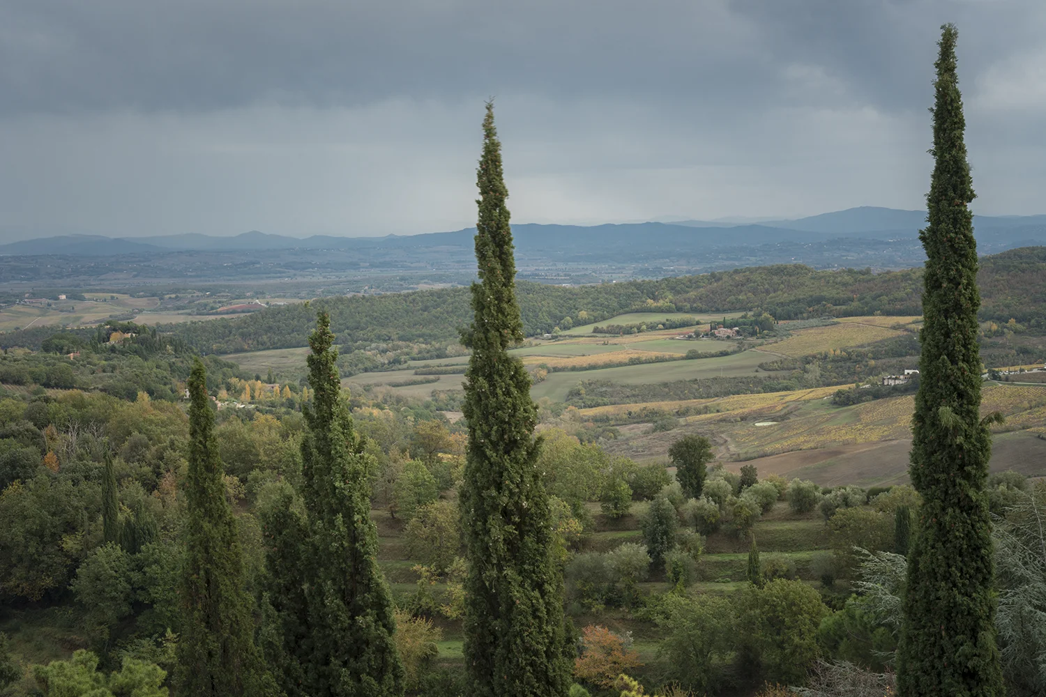 ITA Tuscany 11.jpg