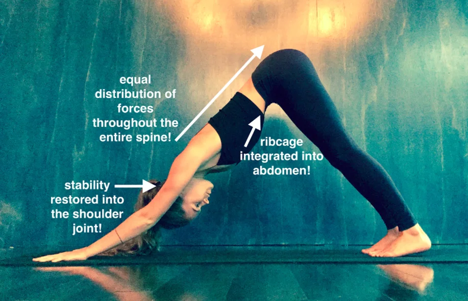 downward_dog_2.jpg