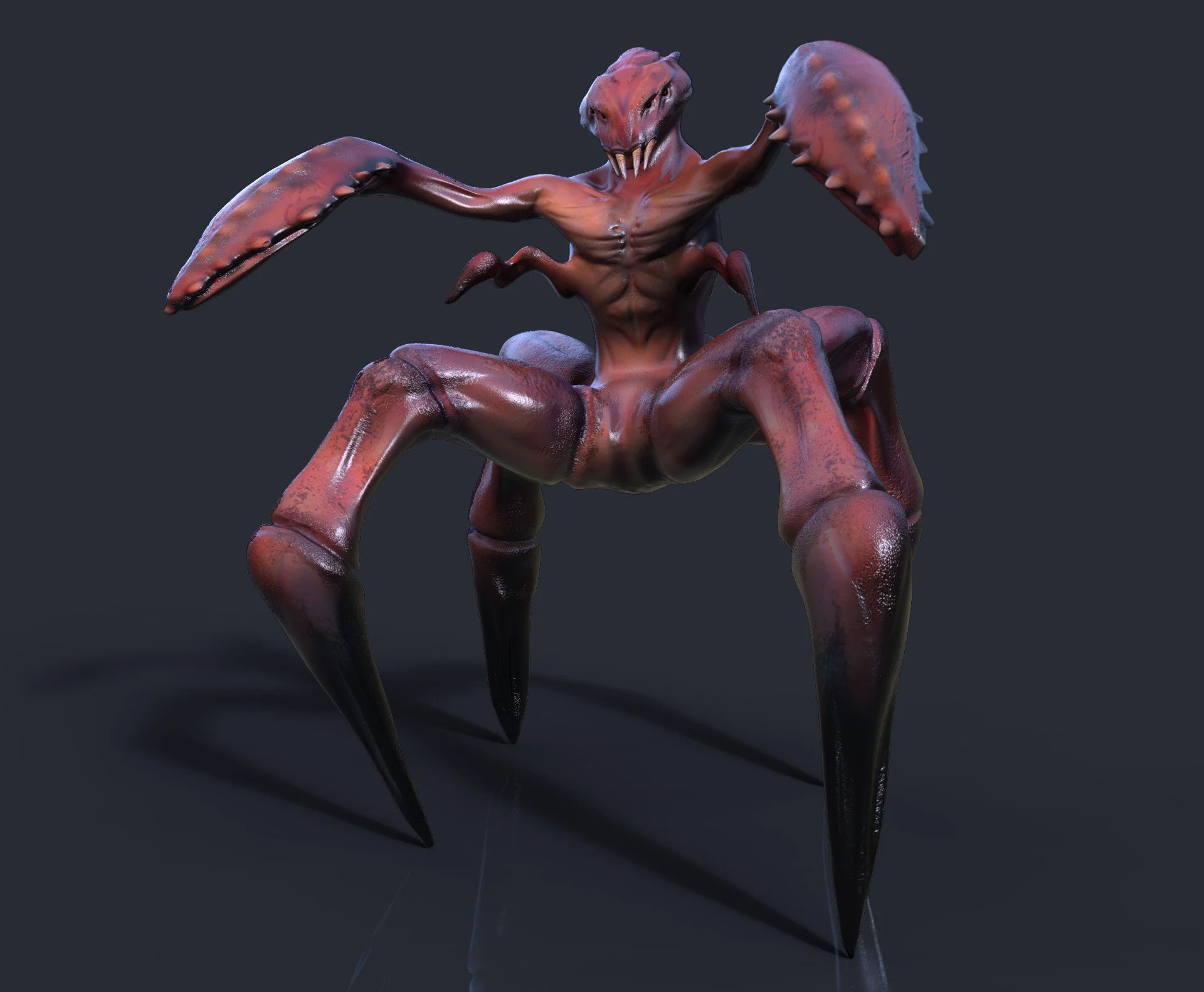  Zbrush, Keyshot, Photoshop  