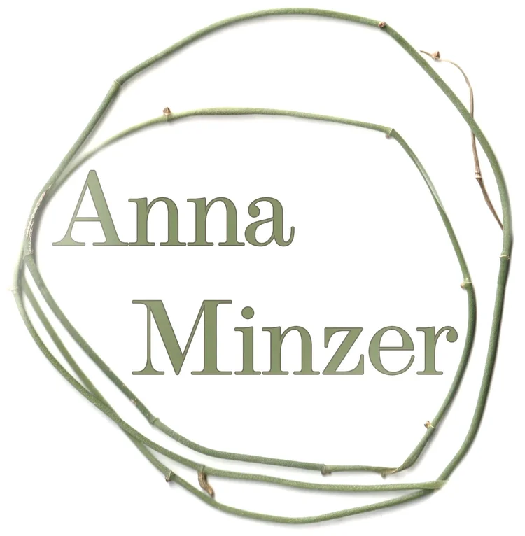 Anna Minzer