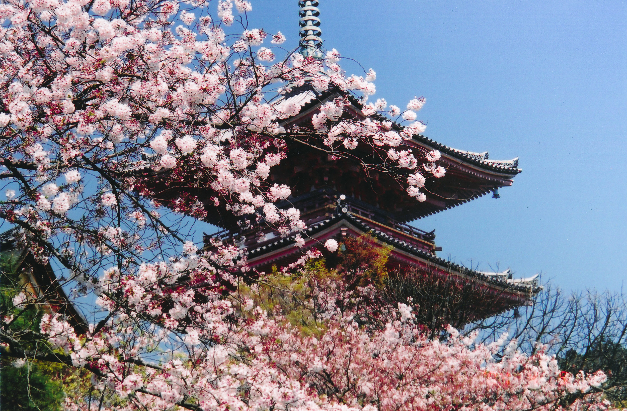 Japan - 35mm