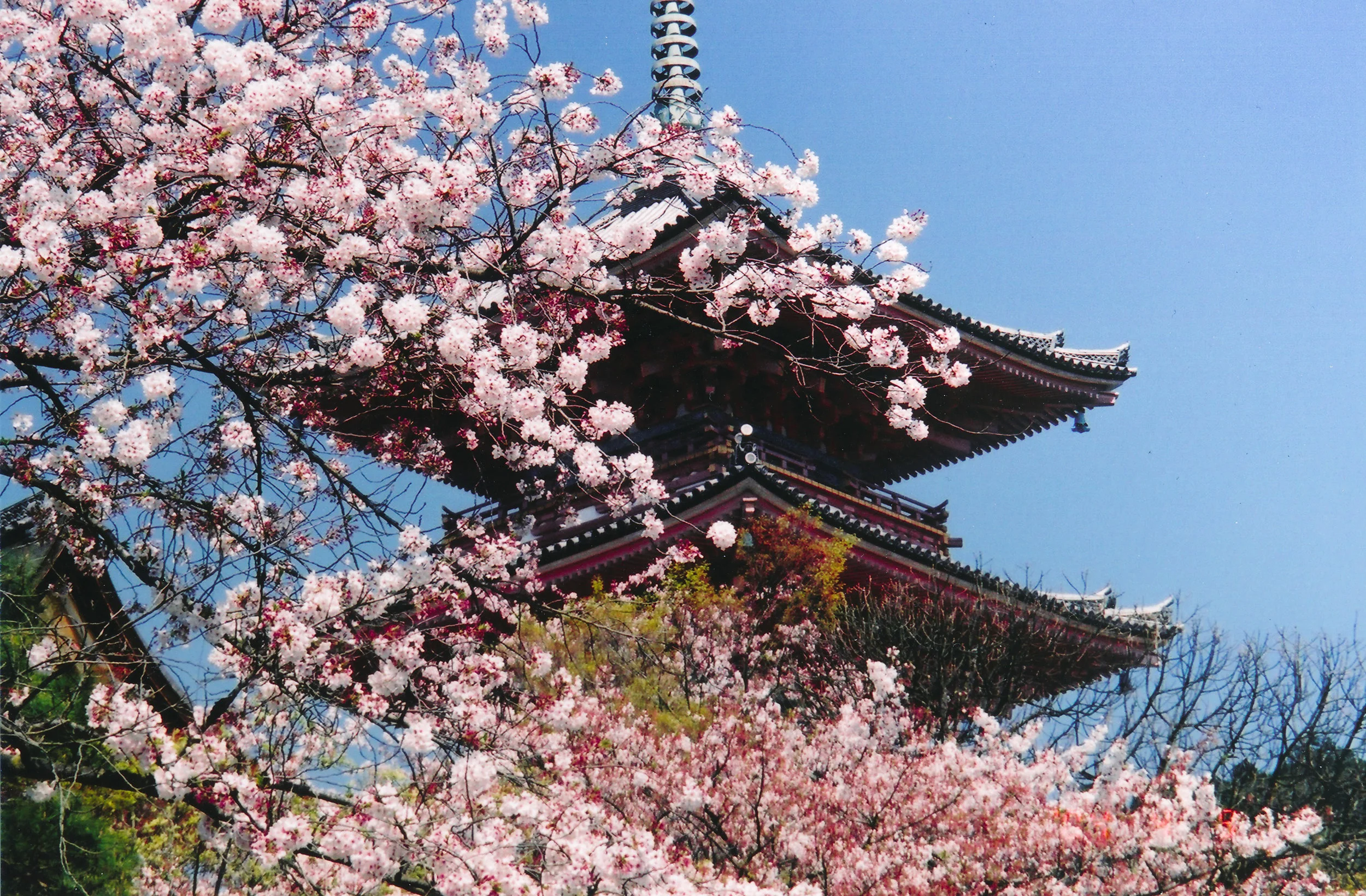 Japan - 35mm