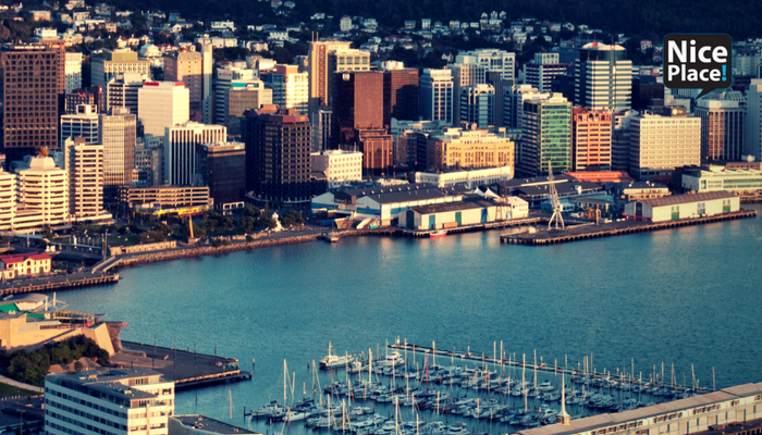 What's up with Wellington's rental market? A property manager's perspective