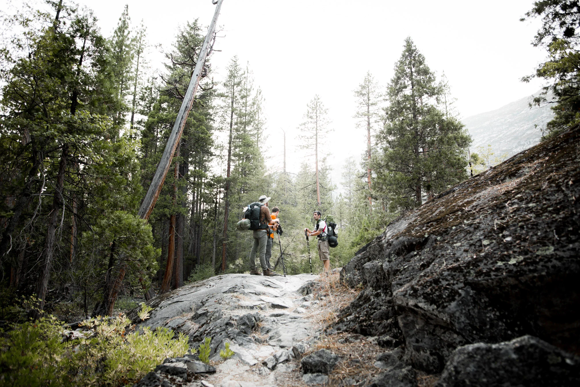 tuolumne-county-adventure-yosemite-99-37.jpg
