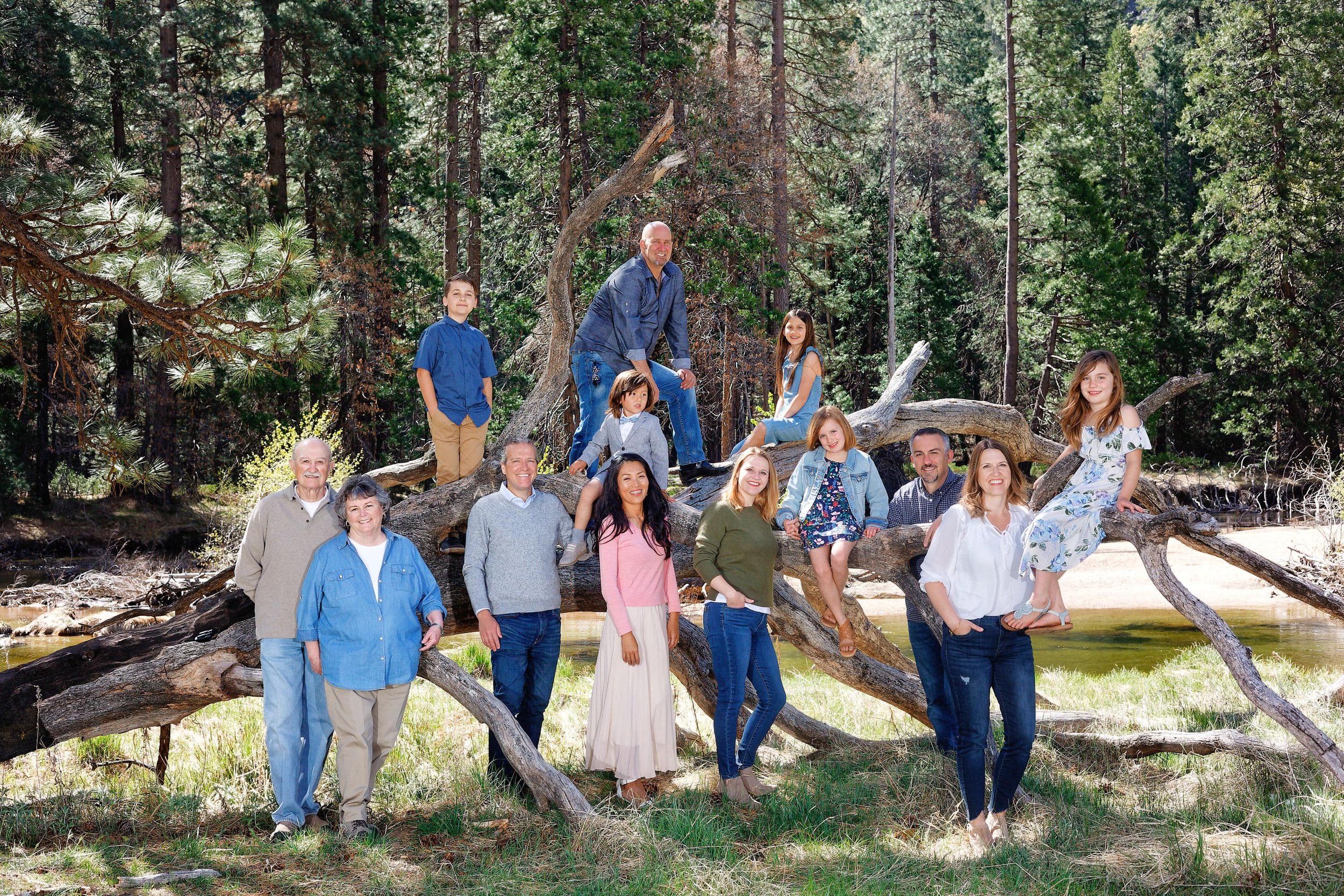 Yosemite-Family-photography (8).jpg