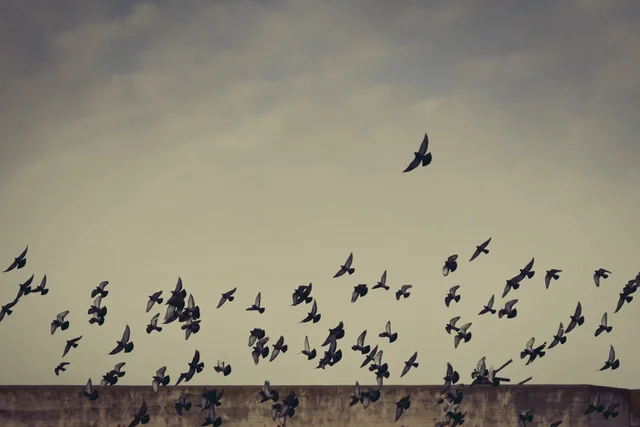 Answers to Your Problems