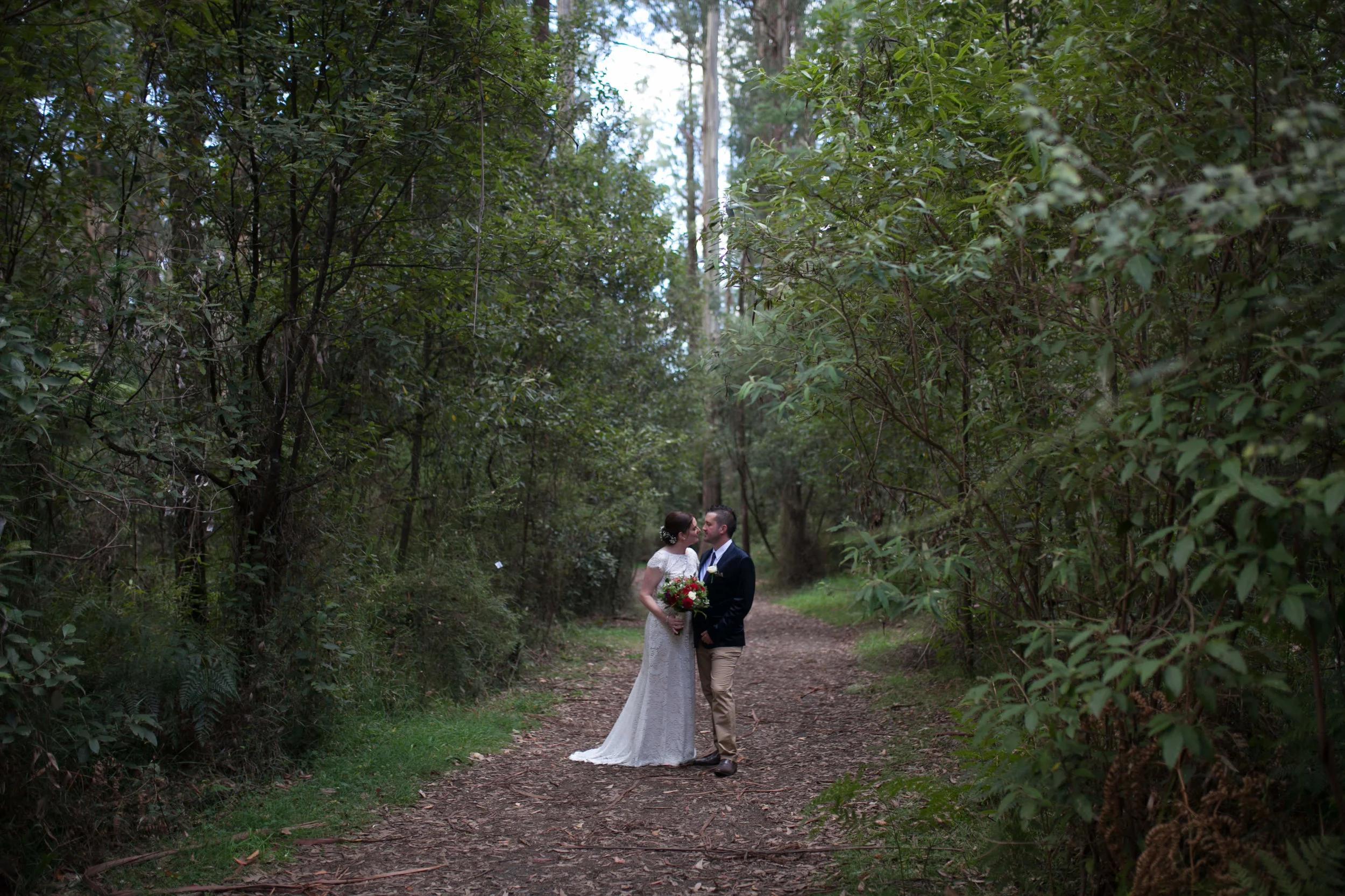 Colour forest-1-2.jpg