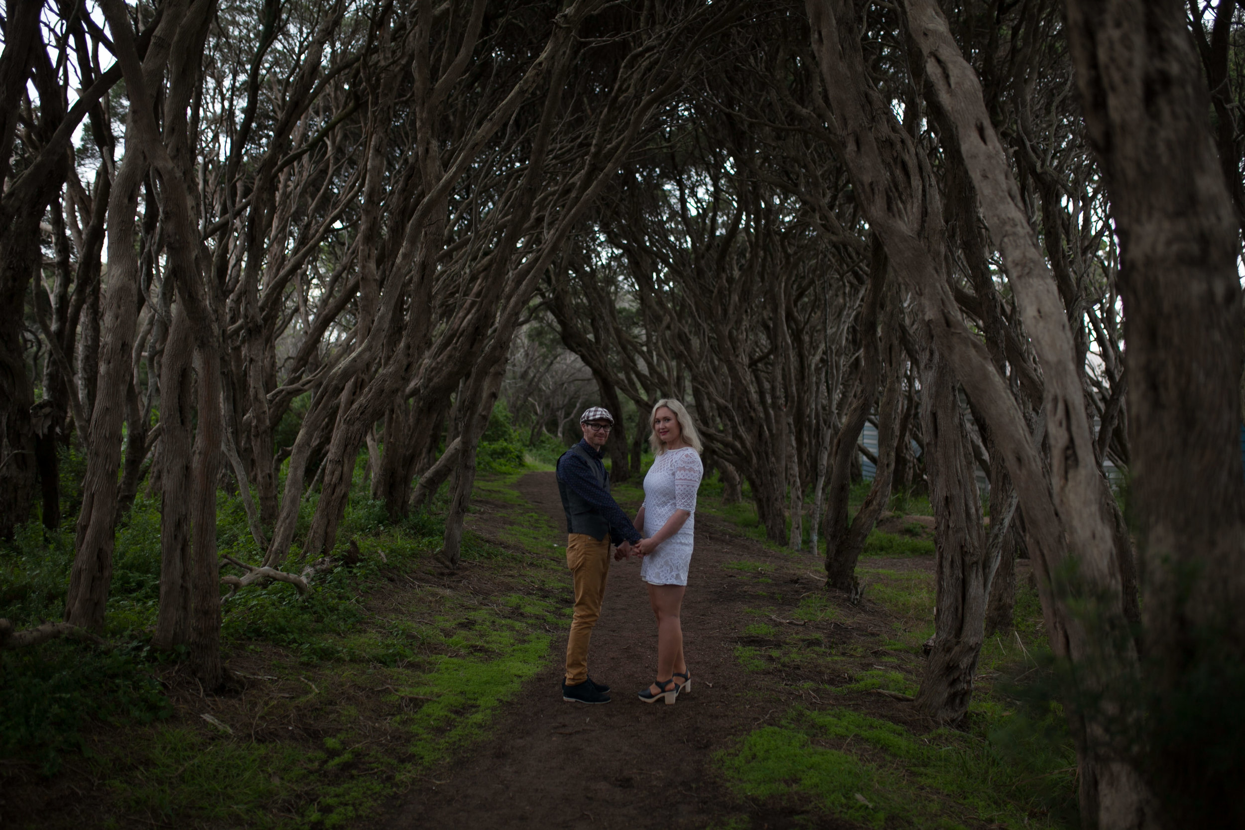 Split toning beach trees-1-2.jpg
