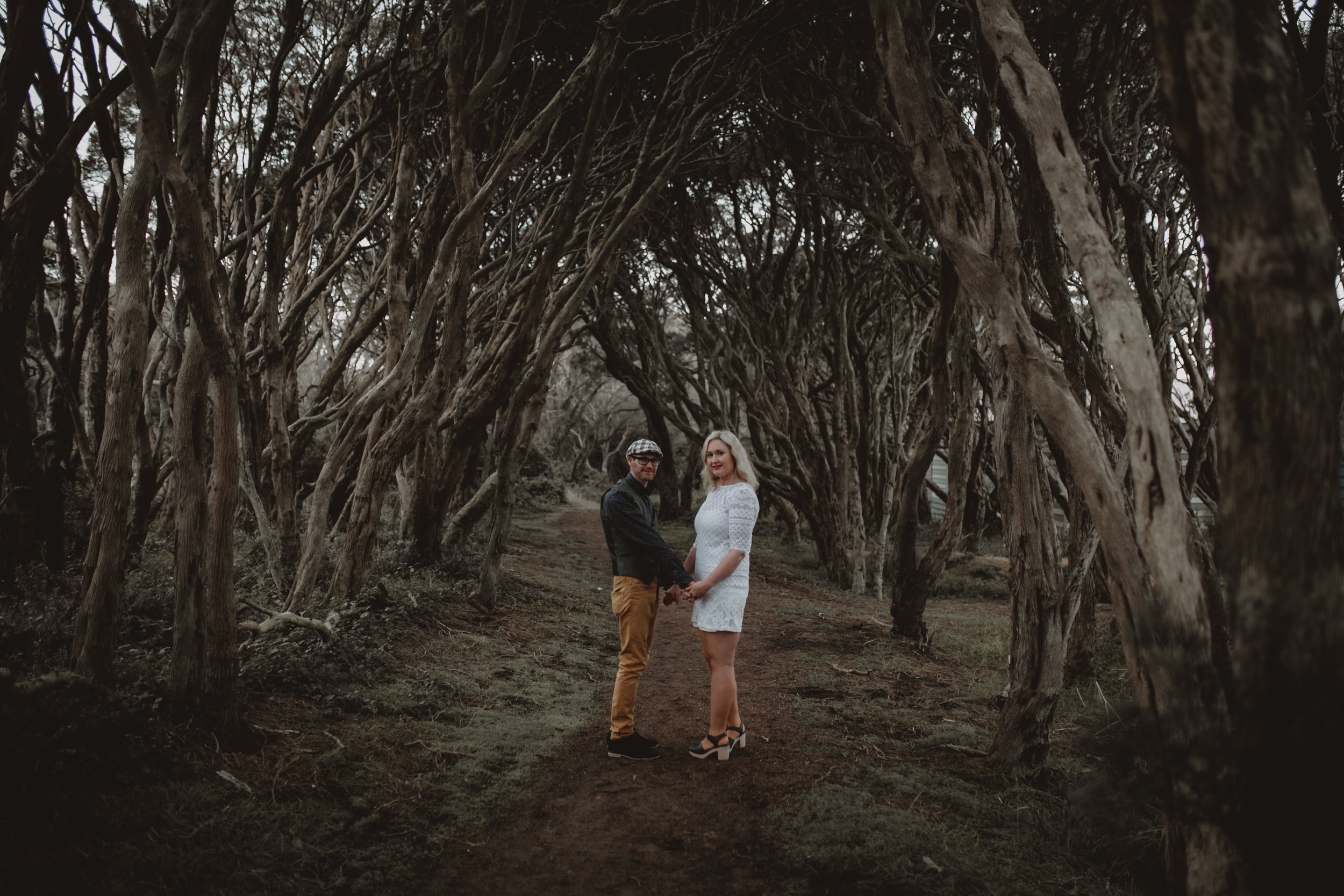 Split toning beach trees-1.jpg