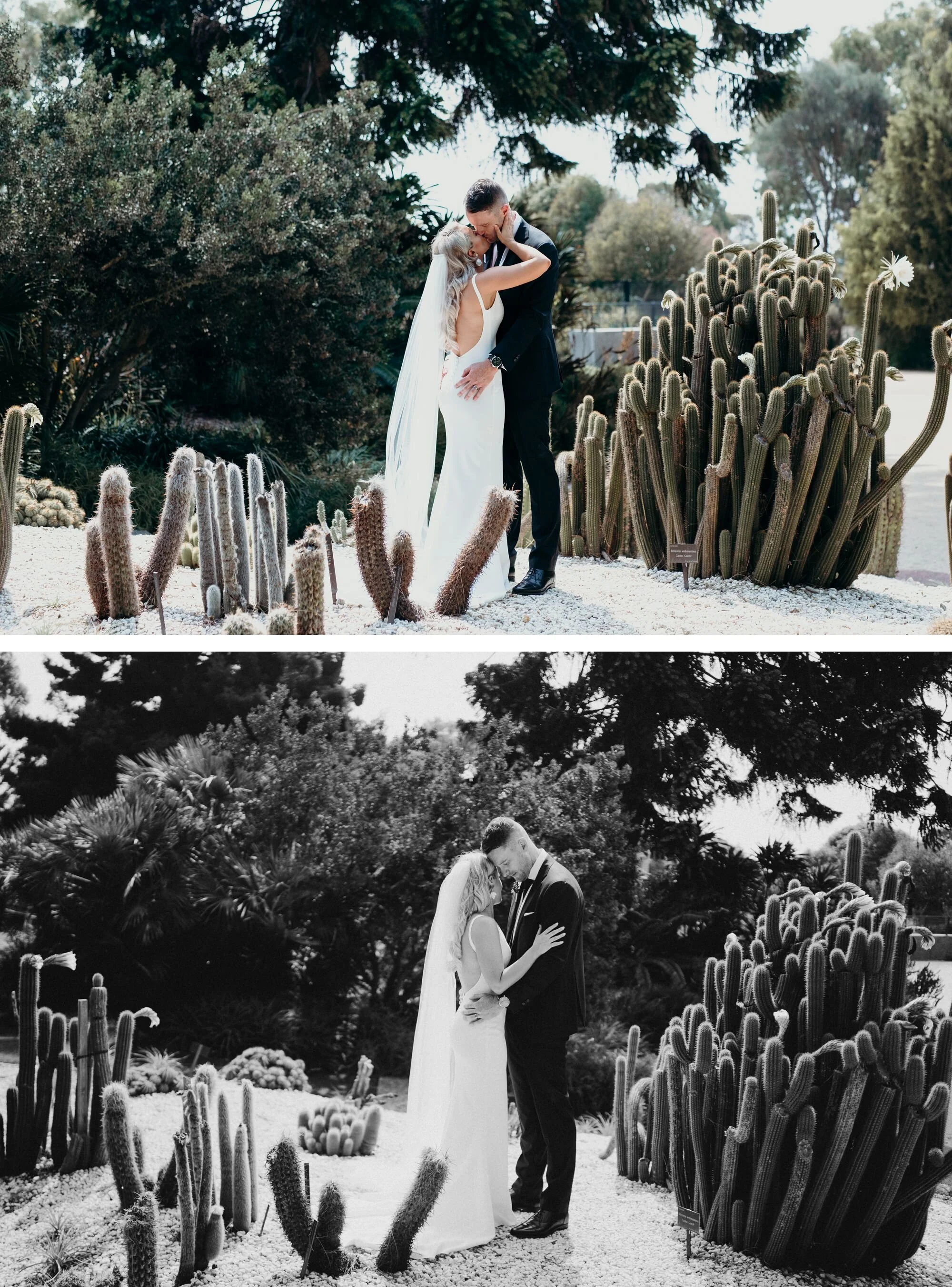 All My Wednesdays Sophie Adam_0257.jpg