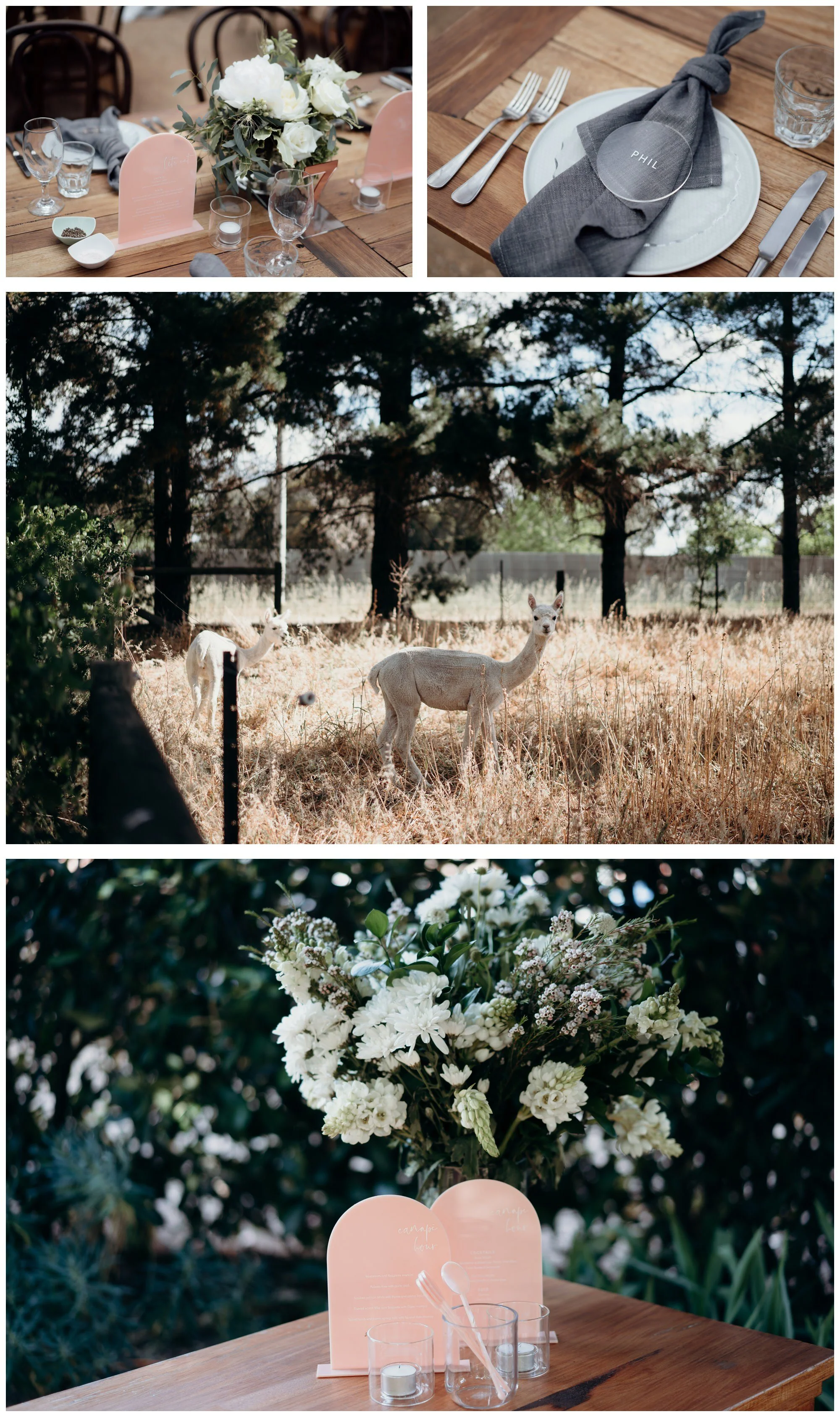 All My Wednesdays Sophie Adam_0287.jpg