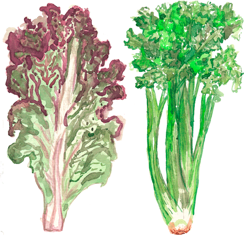GreensWebImage.png