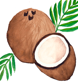 CocnutsWebImage.png