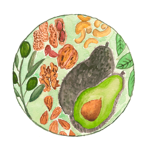 PlantFatWebImage.png
