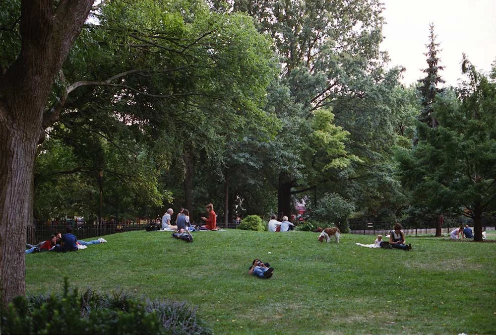 Then there’s those Saturday mornings in Tompkins Square Park....