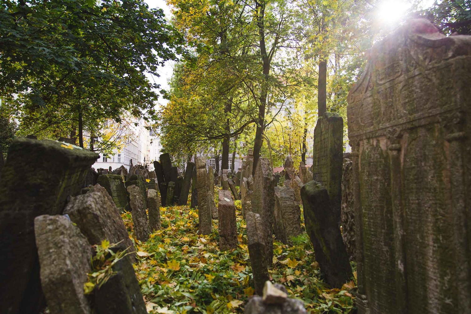 JewishCemeteryPrague.jpg