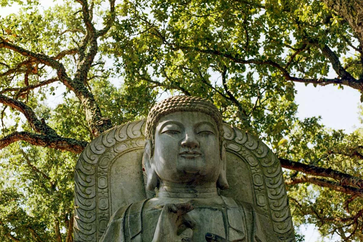 BuddhaEdenPortugalWildWeRoam_0007.jpg