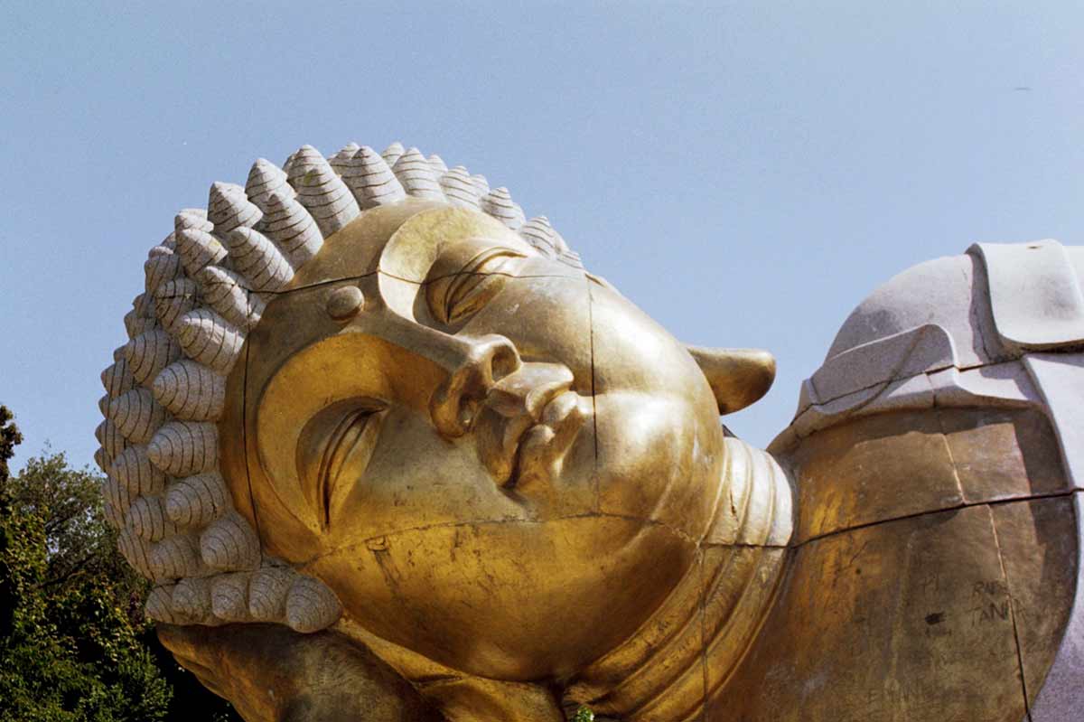 BuddhaEdenPortugalWildWeRoam_0020.jpg