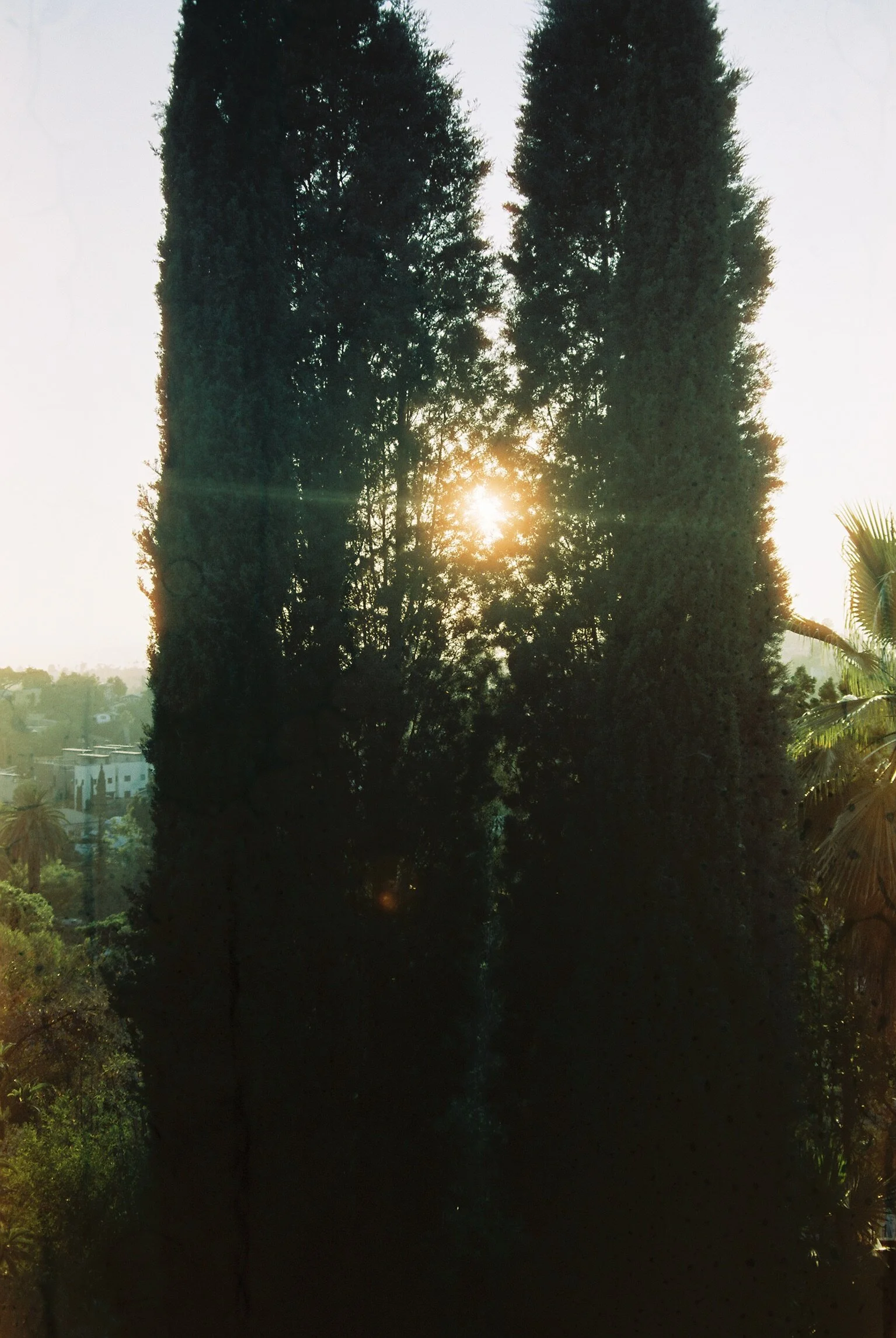 3A180013-B771-4F10-AFC1-509A8FDB6F38.jpeg