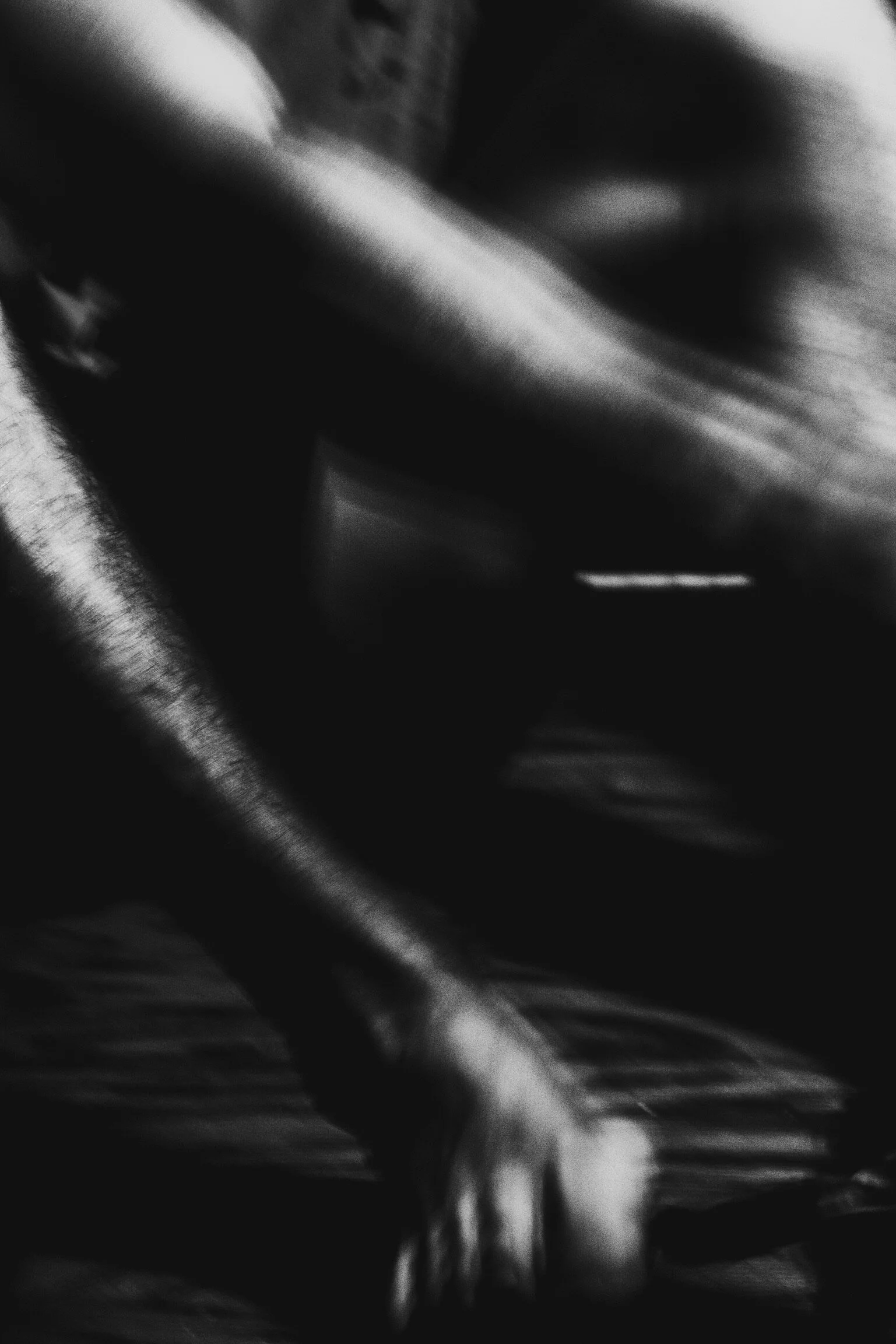 B8AA7C0B-D2EE-4BBC-ACE4-44BACF4F227F.jpeg