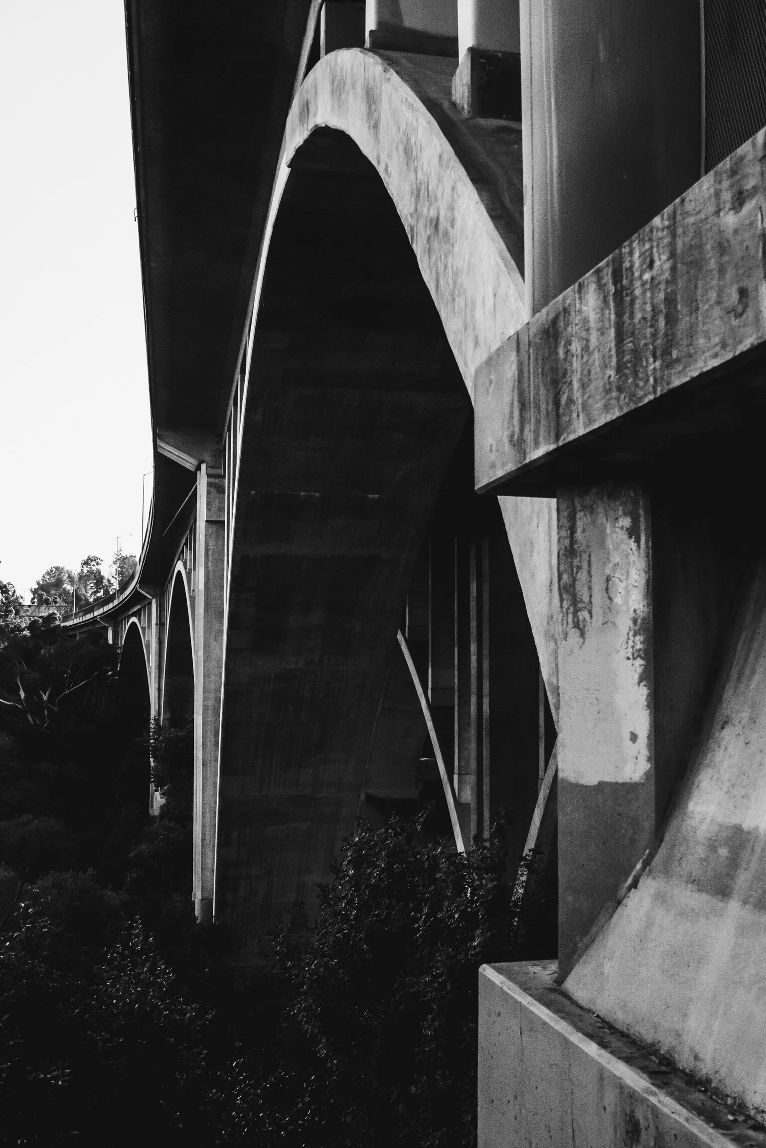 4A9159E2-8101-4D20-9F30-7152A4080F97.jpeg