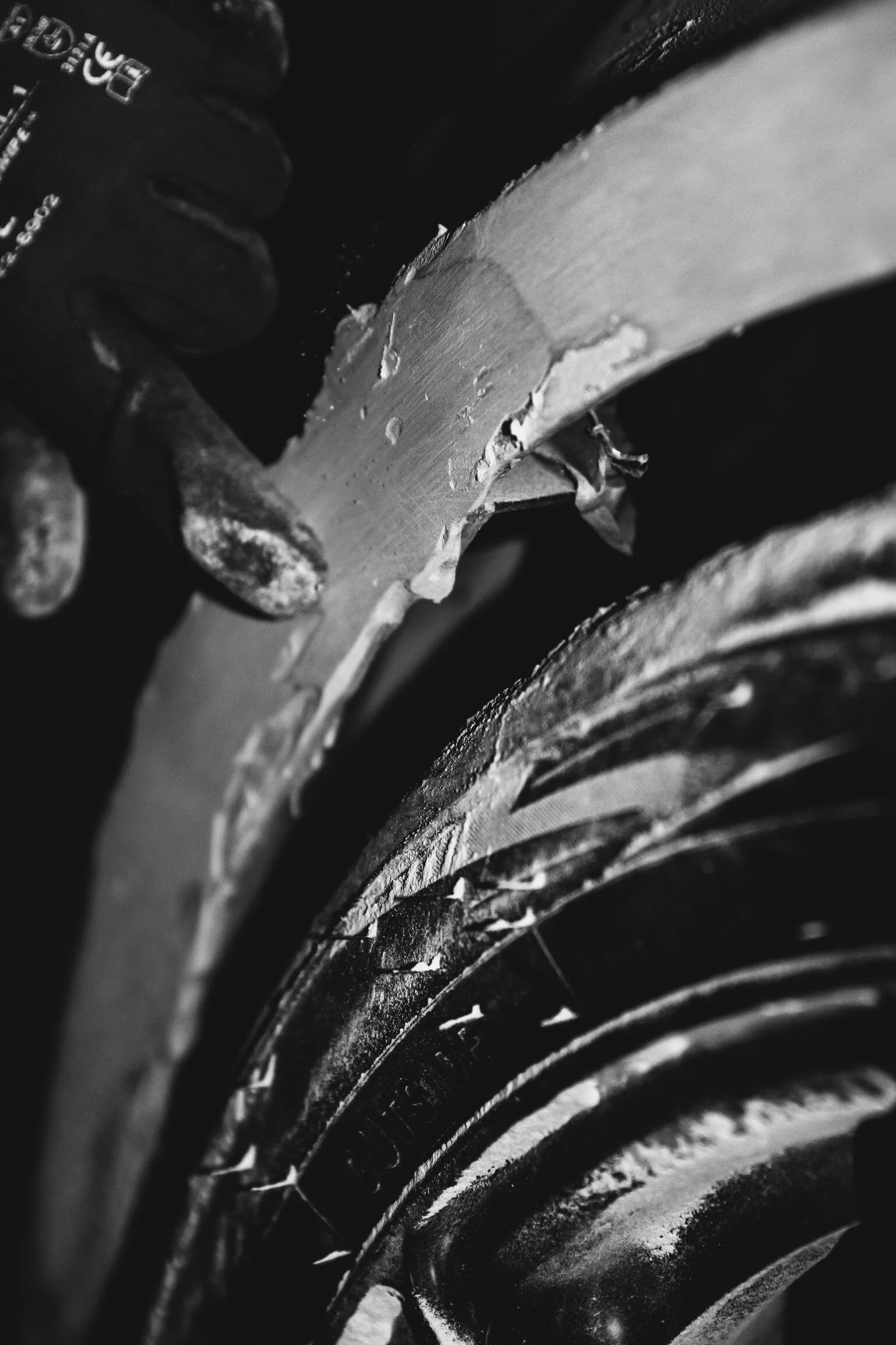 ACADC286-6134-4E8A-8C4D-9414D4CD7F54.jpeg