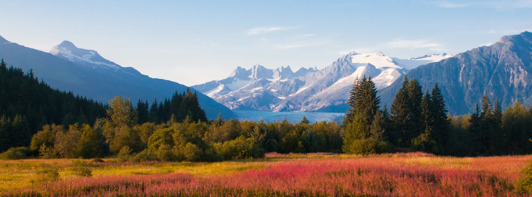 Open Field Juneau.jpg