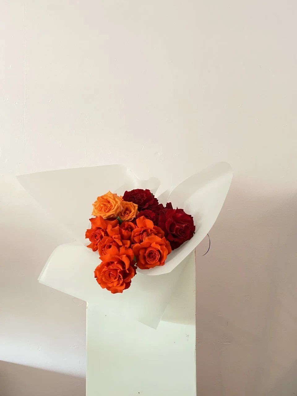 Summer love roses.jpg