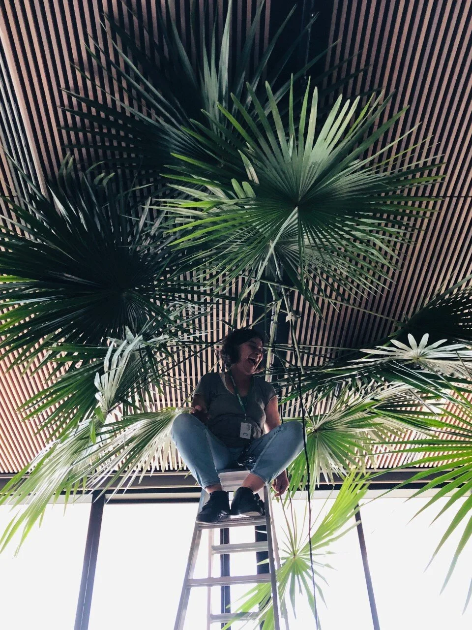 mca ceiling.jpg