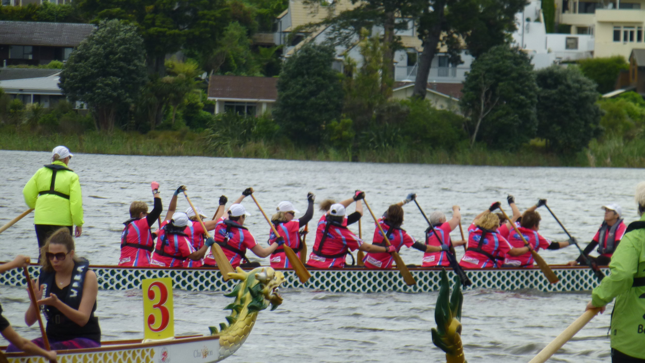 Regatta Hamilton 1.JPG