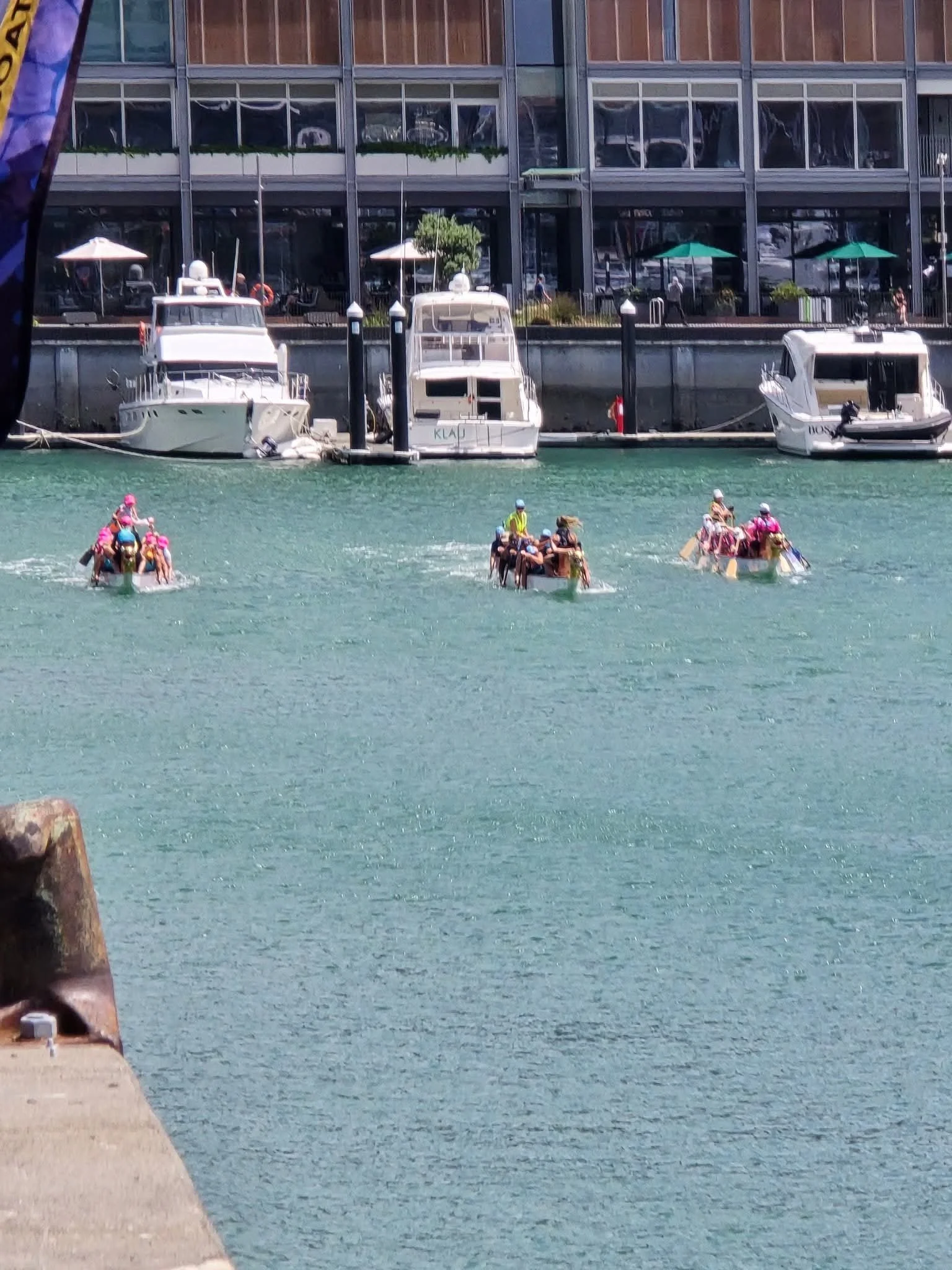  Auckland Anniversary Day - Viaduct Harbour - January 2025 