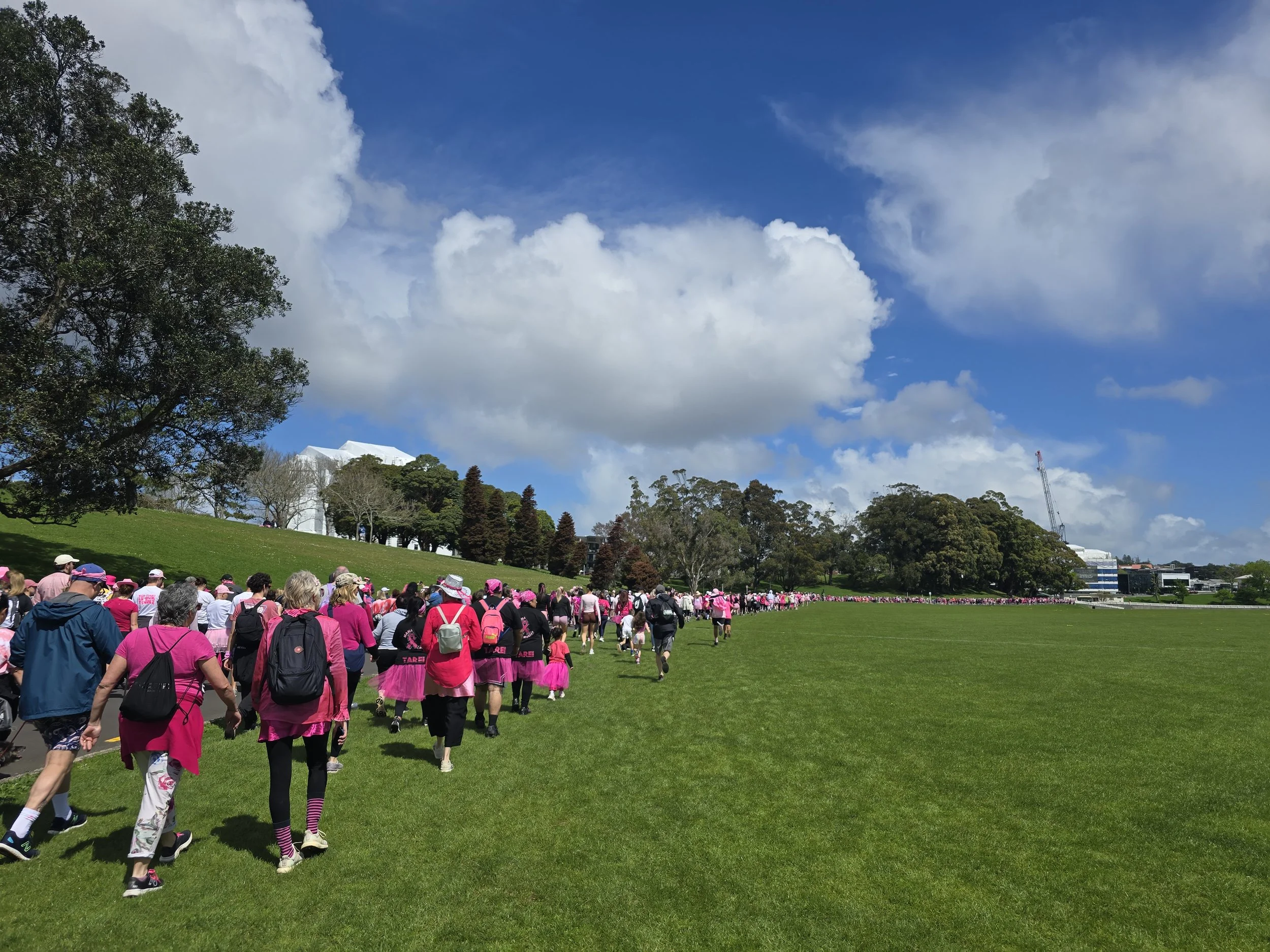  Pink Walk - October 2025 