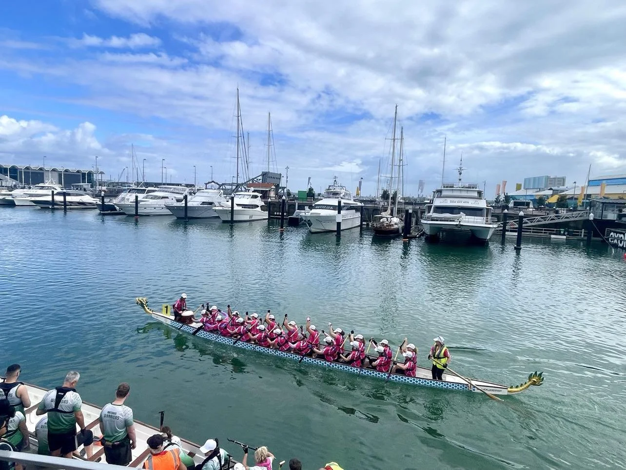  Paddling out to the start line - Auckland Anniversary Day - Viaduct Harbour - January 2026 