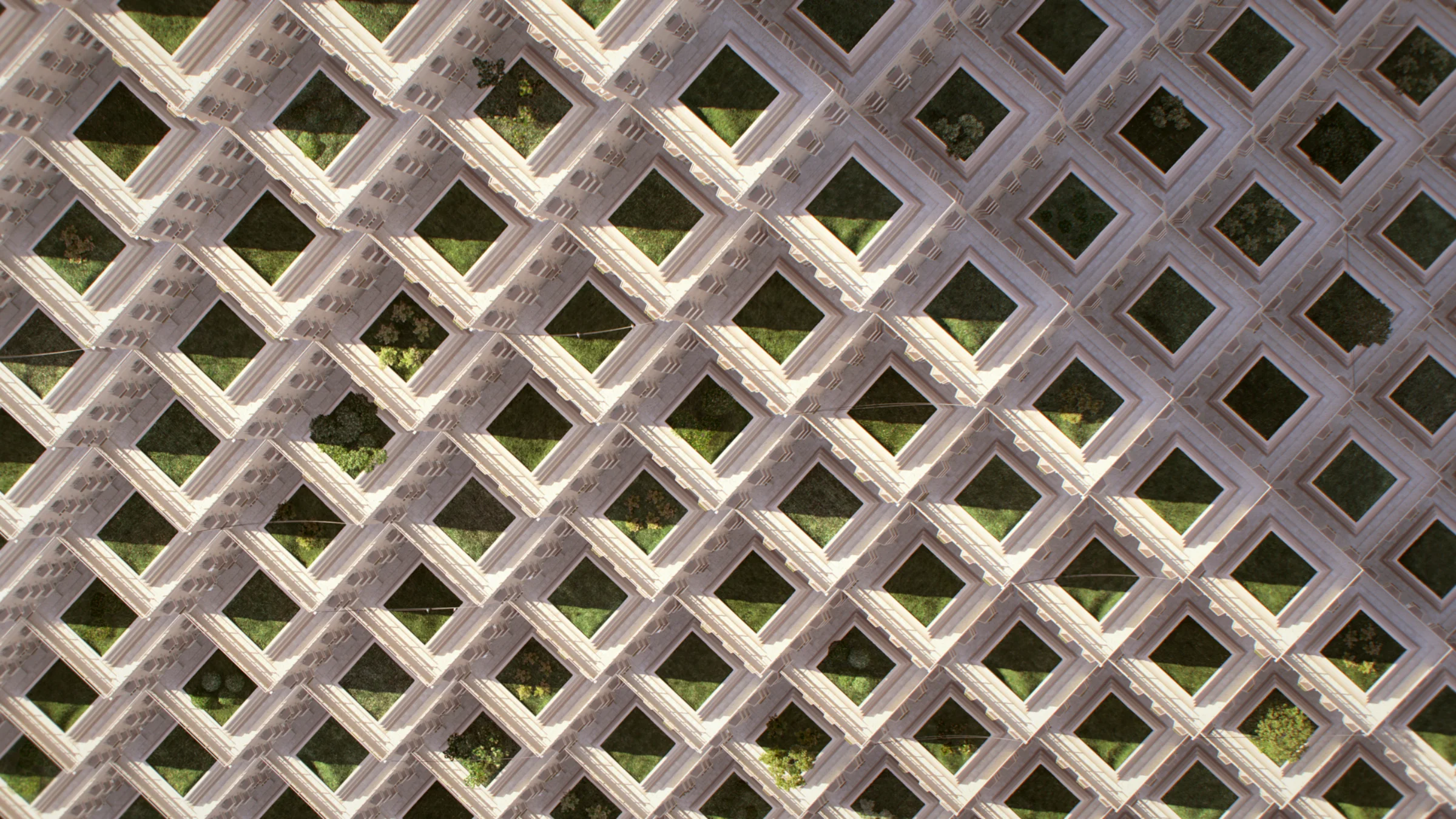 Image_03.jpg