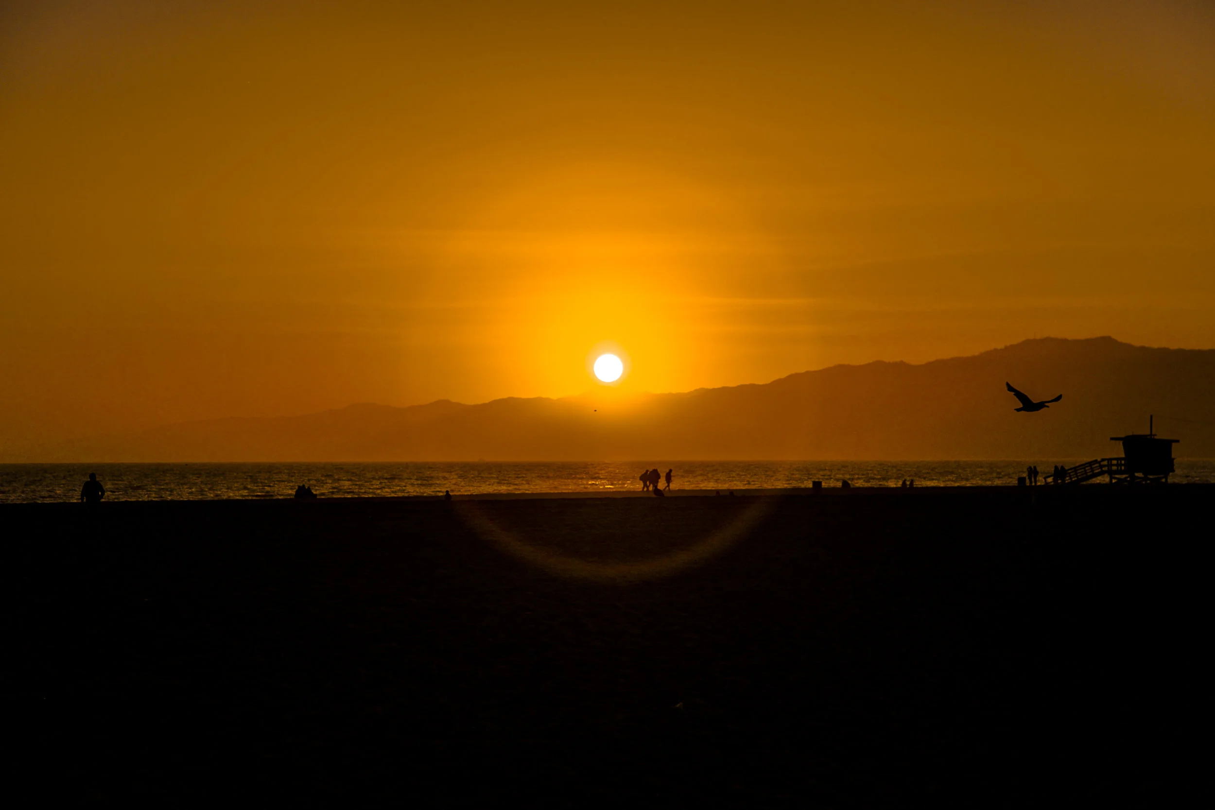 _S0A9087venicebeach.JPG