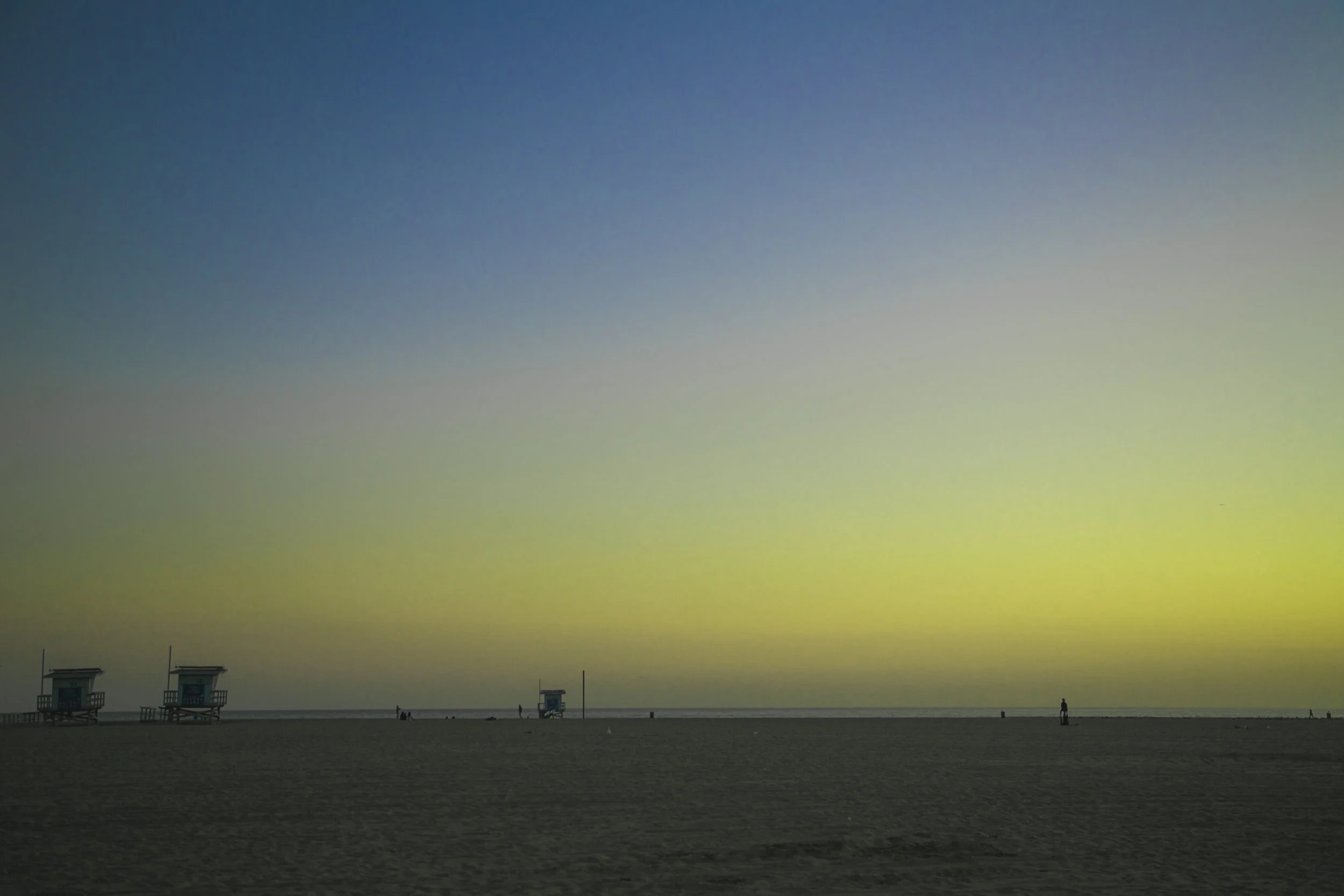 _S0A9142venicebeachy.JPG