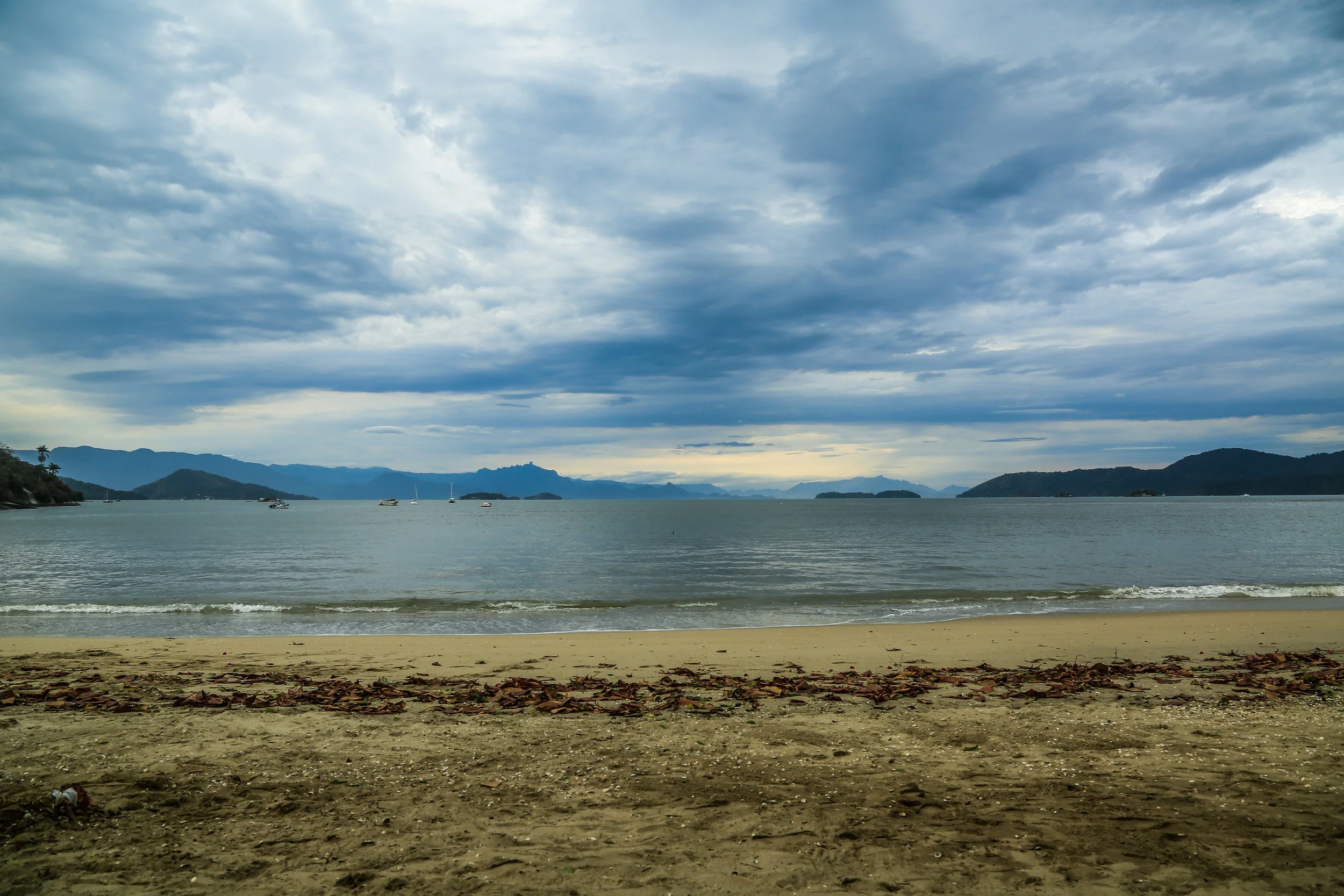 _S0A5058.jpg